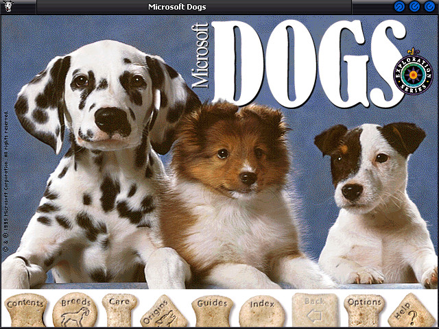 Microsoft Dogs Title Screen (1995)